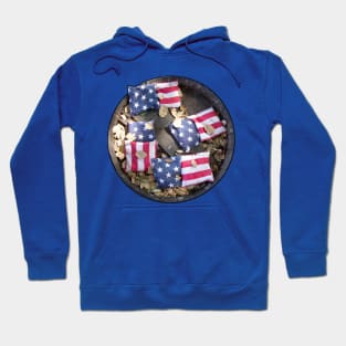 Corn Hole Patriot Hoodie